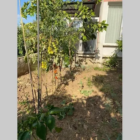 Appartamento Deniz Manzarali Sahil Kisminda Mustakil Bahceli1+1